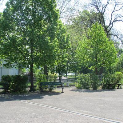 Bild vergr&ouml;&szlig;ern: Schulhof